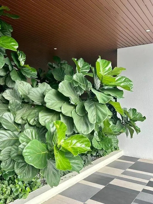 Kl Sentral 28Th Floor Citycenter كوالالمبور شقة